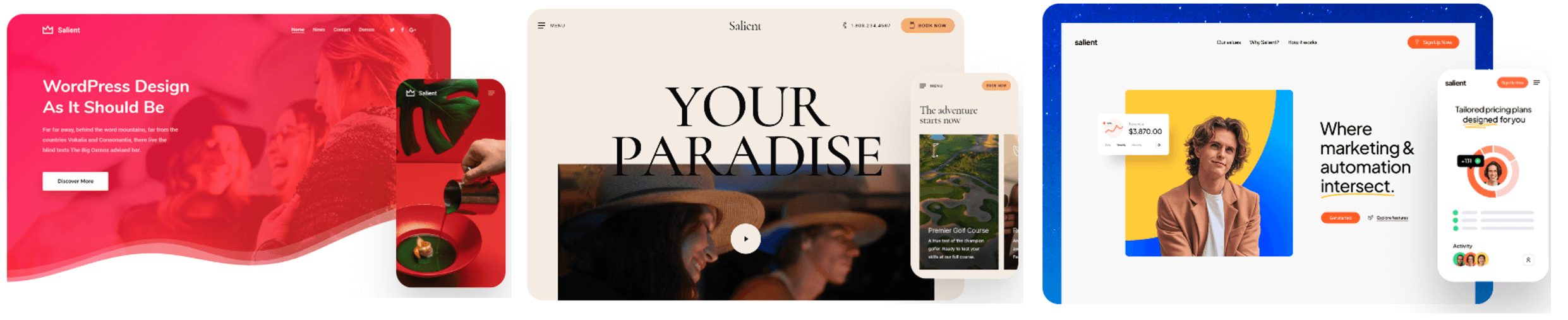Webseiten mit WordPress Salient Theme